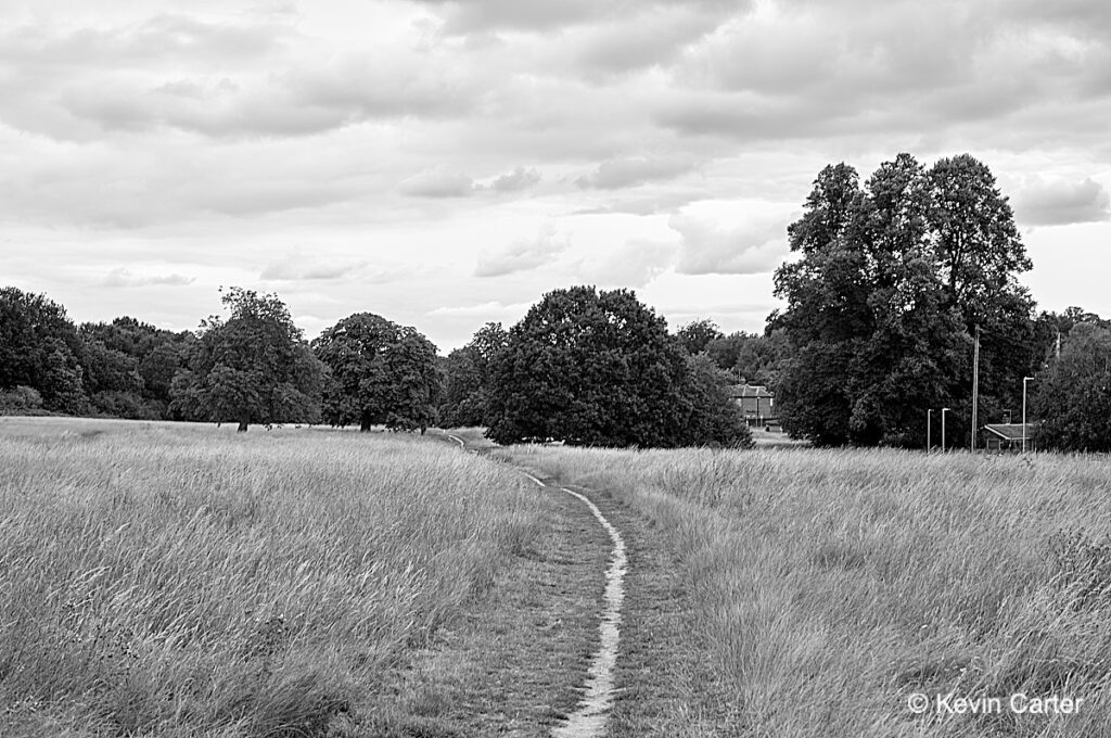 Test picture showing the common, and edited to taste in C1 Pro