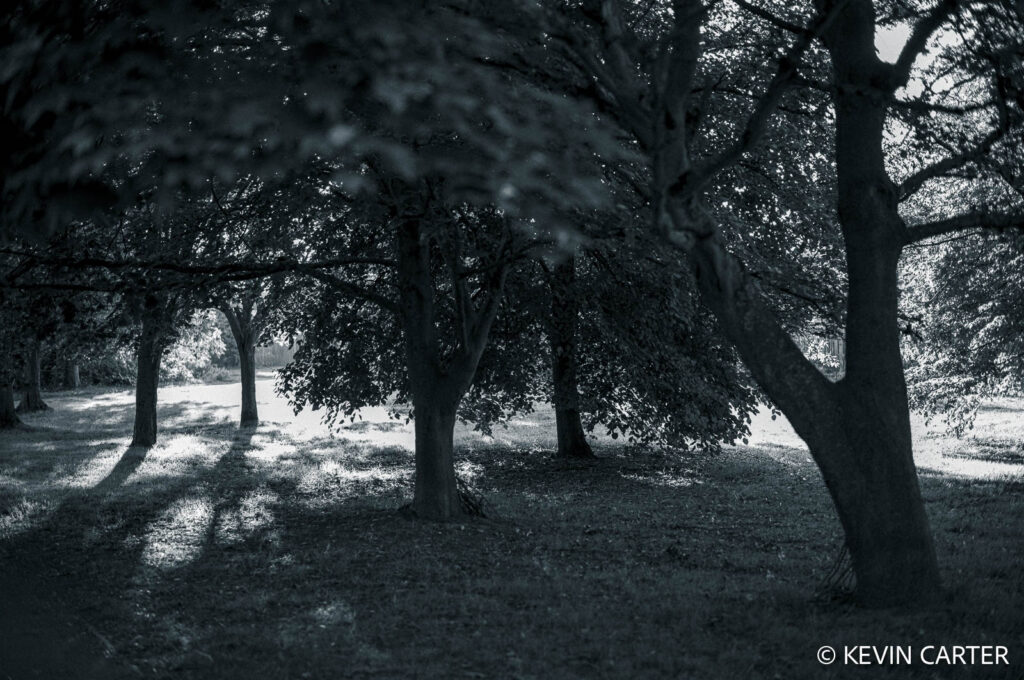 Shadows and highlights