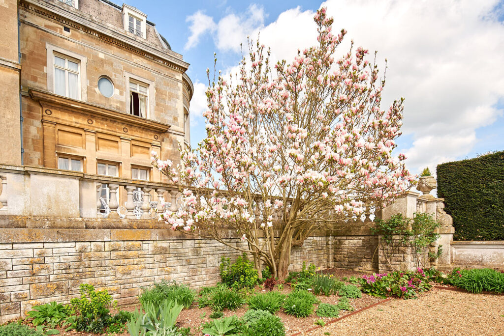 Luton Hoo and magnolia in the upper terrace.