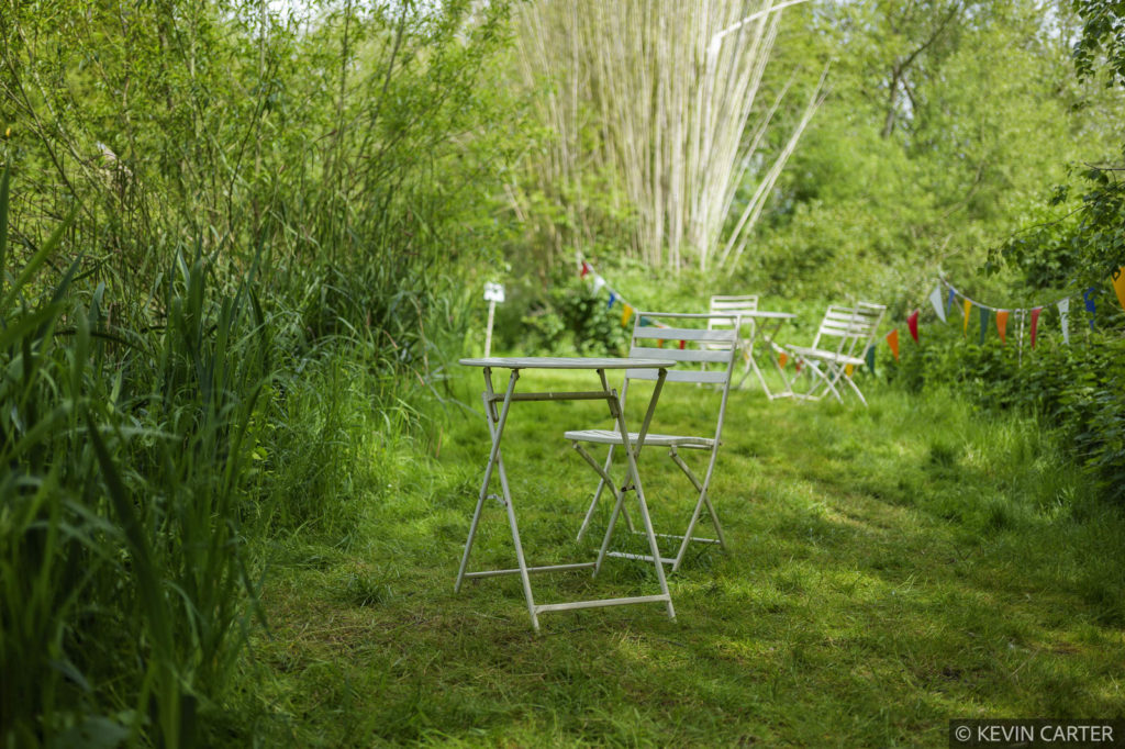 Table and chair beside a river